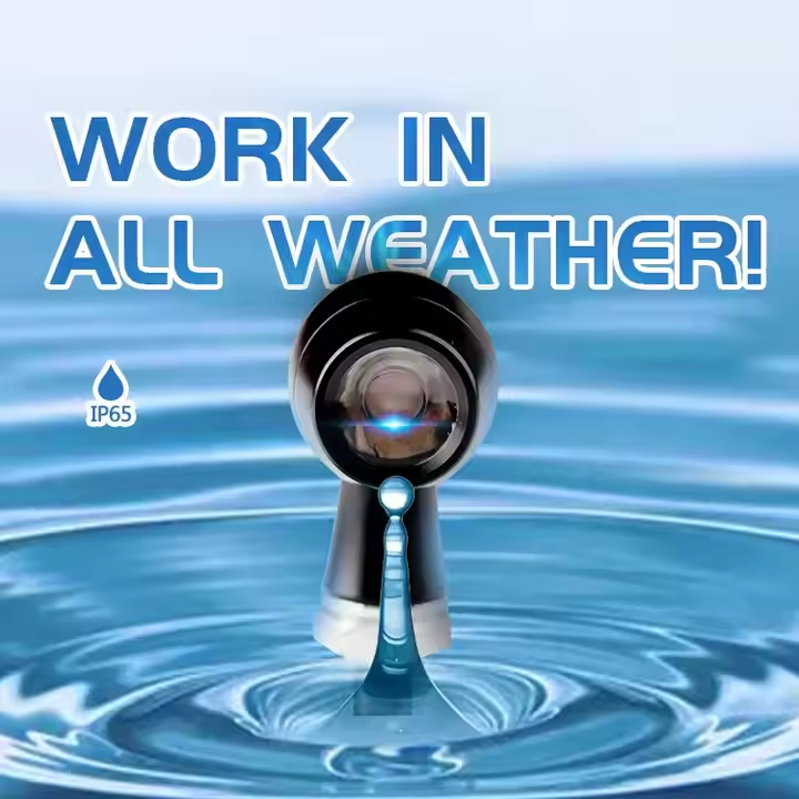 6a5f375274067.png